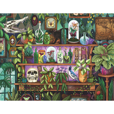 Magisk heksehylle illustrasjon med hodeskaller, planter, flasker og mystiske gjenstander