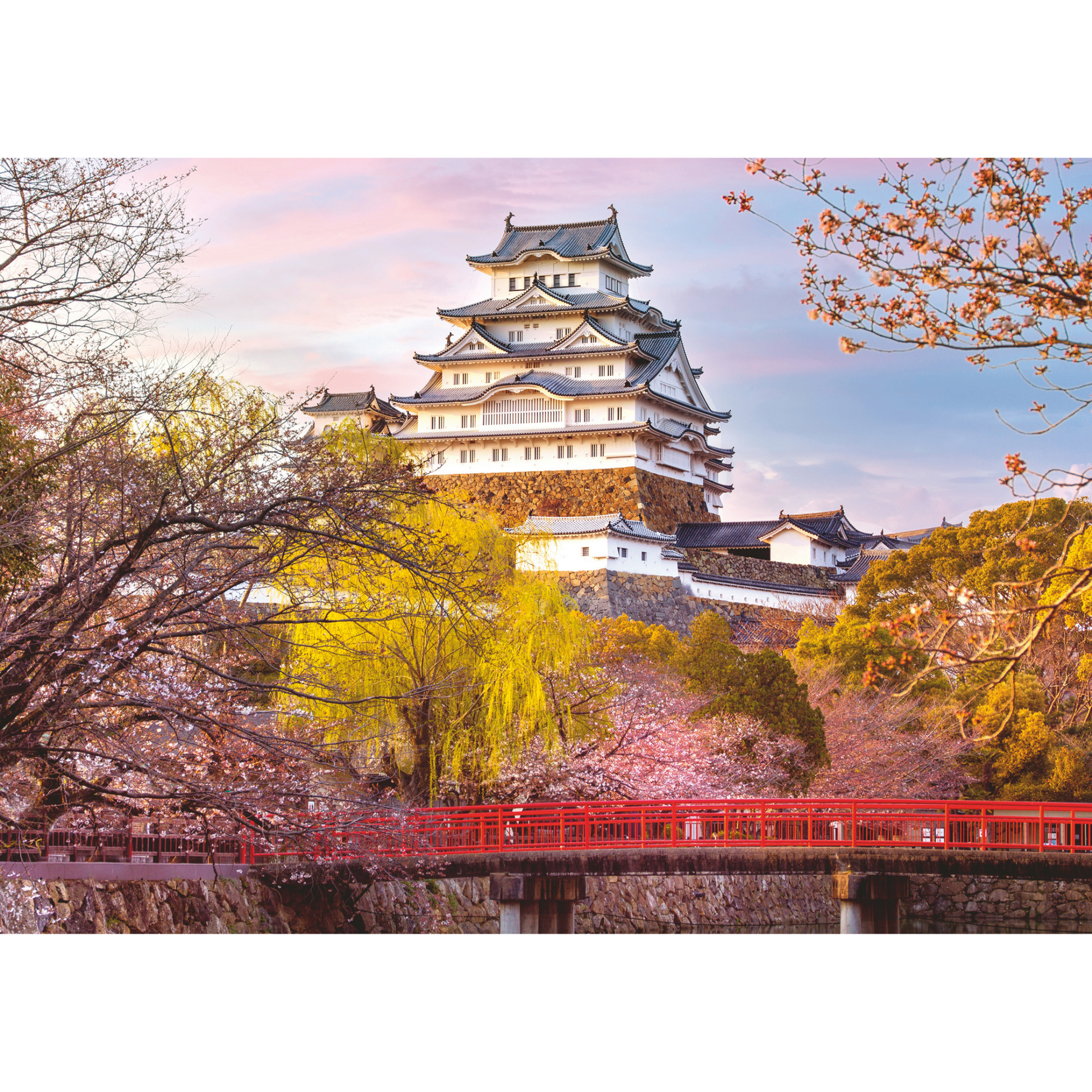 Japansk slott illustrasjon med kirsebærblomster, rød bro og tradisjonell arkitektur