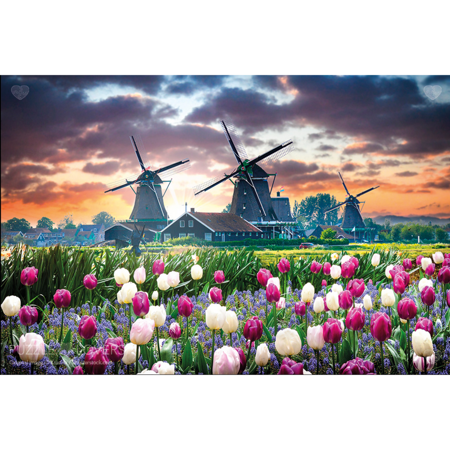 Hollandsk landskap illustrasjon med vindmøller, fargerike tulipaner og dramatisk himmel