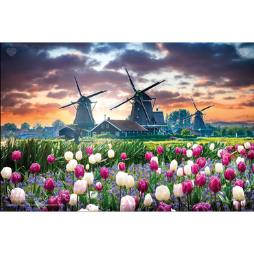Hollandsk landskap illustrasjon med vindmøller, fargerike tulipaner og dramatisk himmel