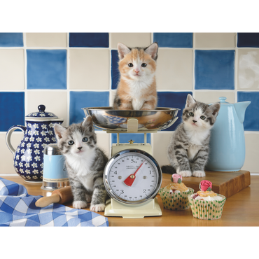 Søte katter puslespillmotiv