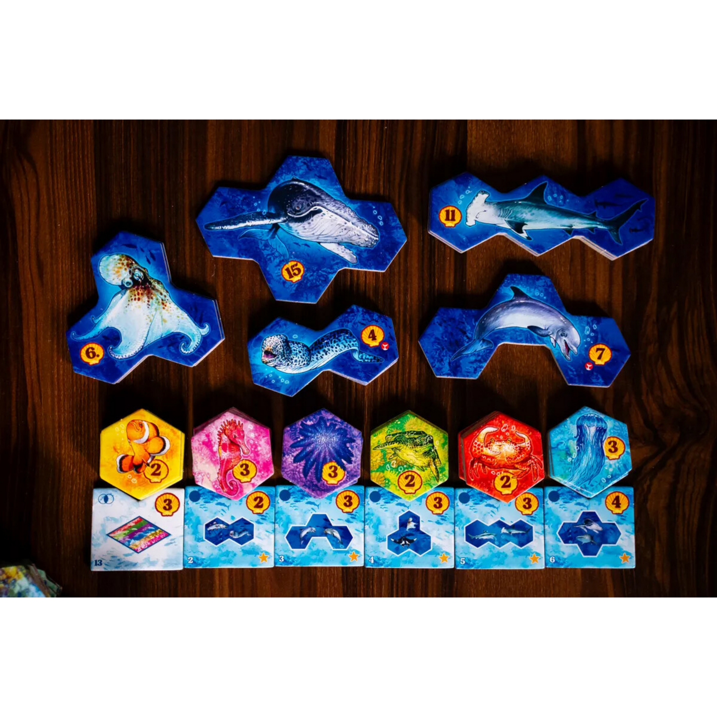 Aqua brettspill komponenter og brikker