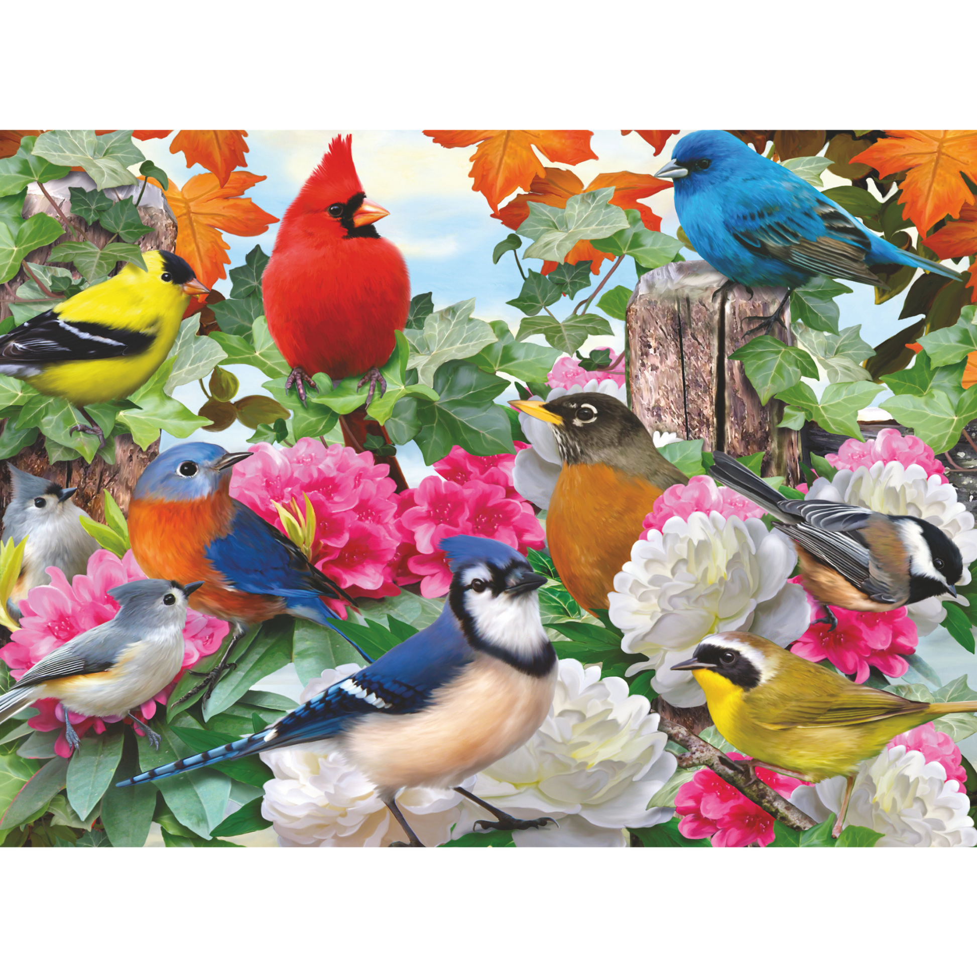 Fargerike hagefugler illustrasjon med kardinaler, blåmeis og andre fugler blant rosa blomster