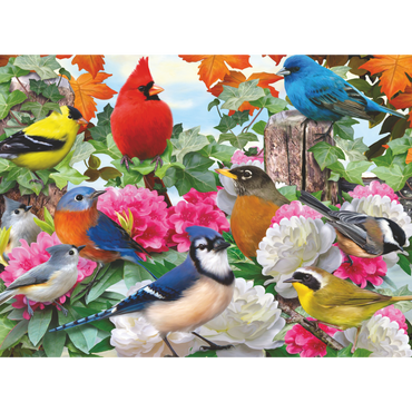 Fargerike hagefugler illustrasjon med kardinaler, blåmeis og andre fugler blant rosa blomster