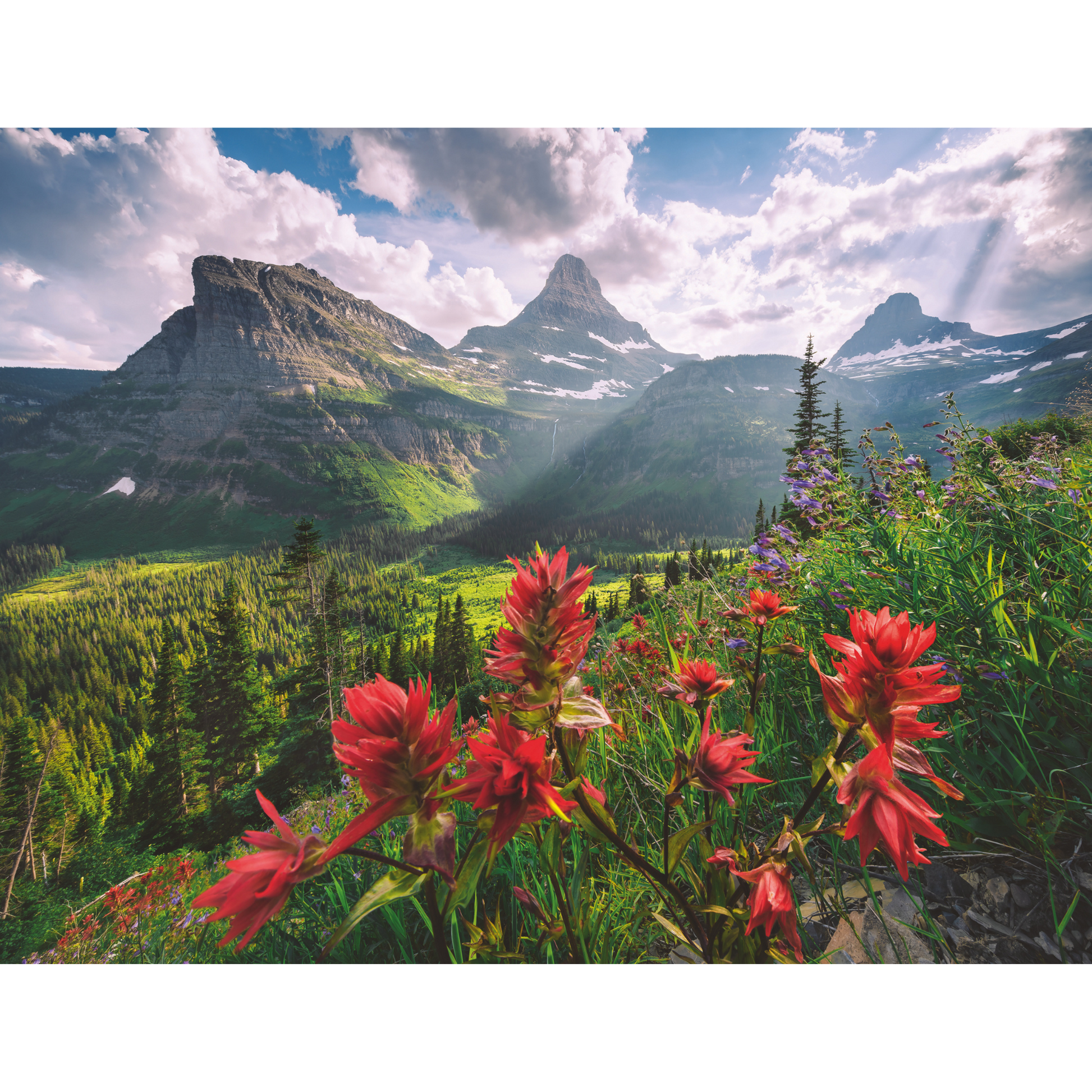 Fjelllandskap illustrasjon med røde blomster, grønne daler og dramatiske fjelltopper